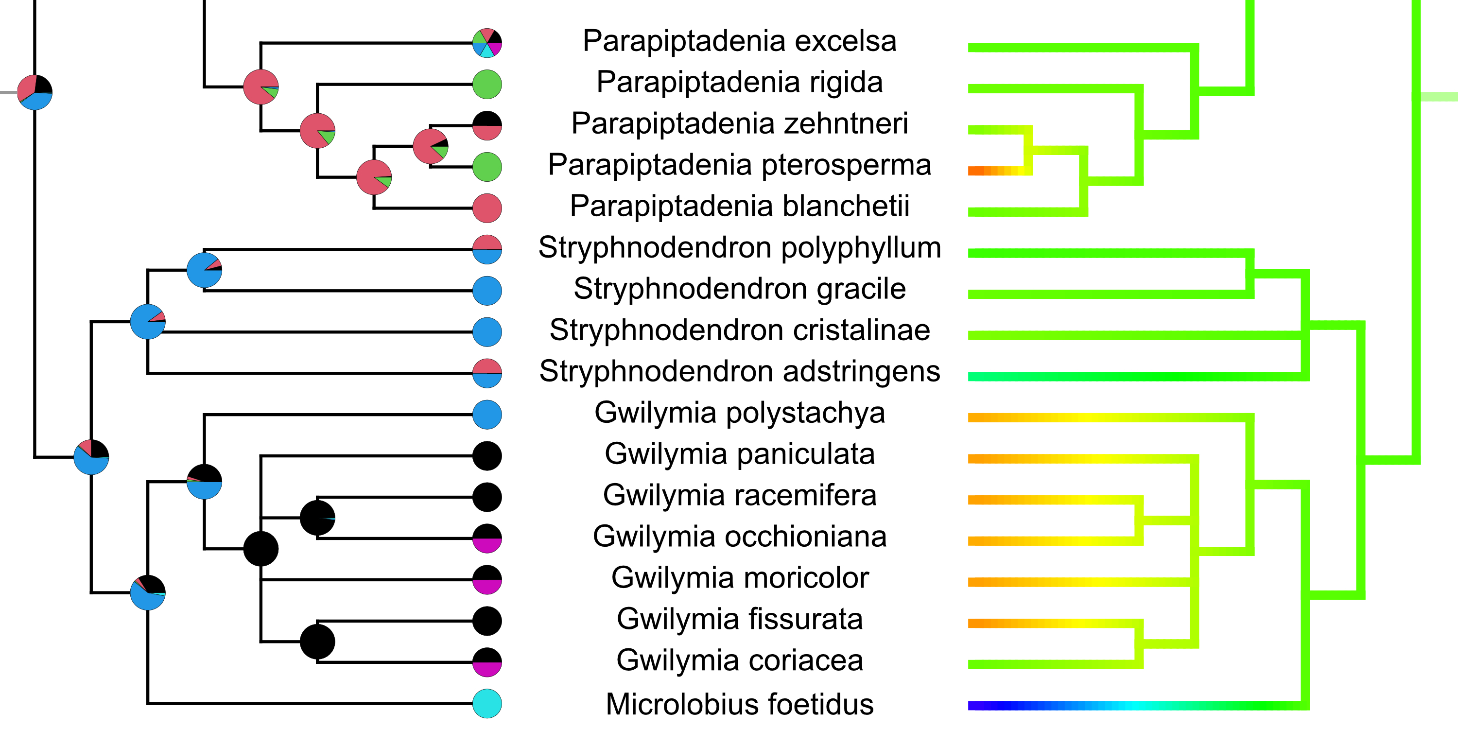 Evolution of traits (a) pollen ornamentation and (b) exine thickness in the Stryphnodendron clade.