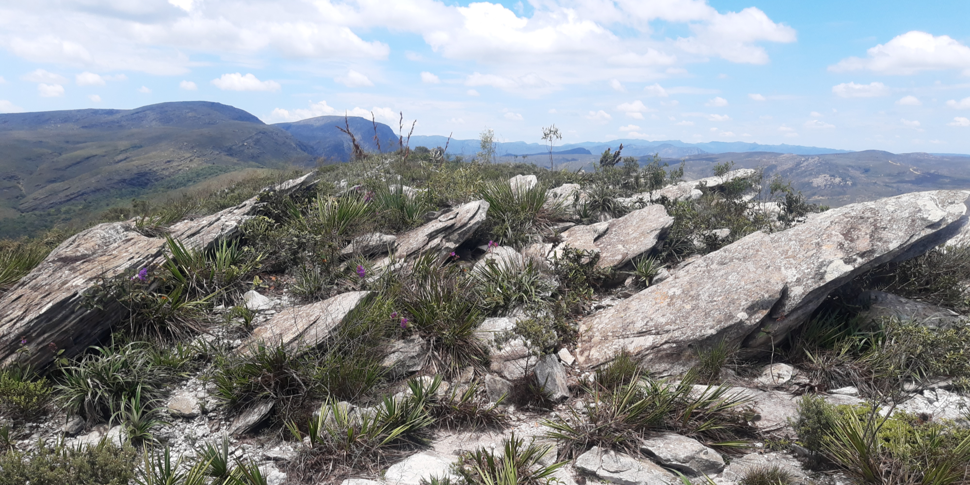 Campos rupestres at Parque Nacional da Serra do Cipó.